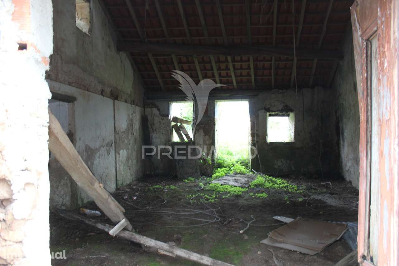 Excelente Negócio 2 Moradias e Cinco Mil Metros Urbanos - Grande imagem: 4/39