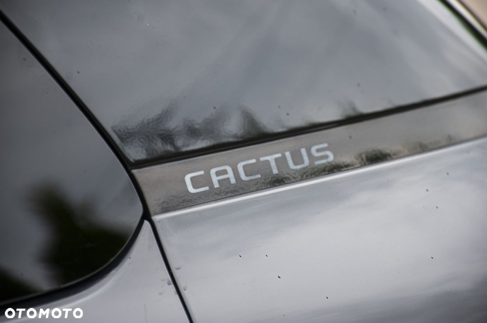 Citroën C4 Cactus PureTech 110 Stop&Start Origins - 39