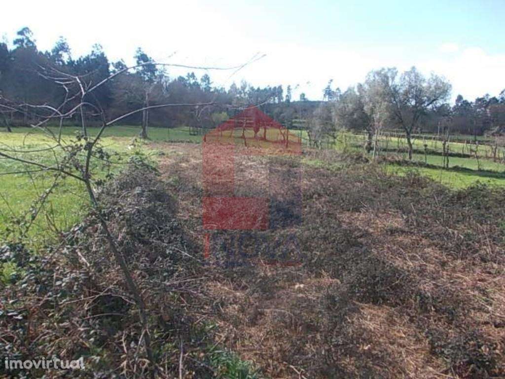 Terreno Agrícola, Coucieiro - Grande imagem: 2/3