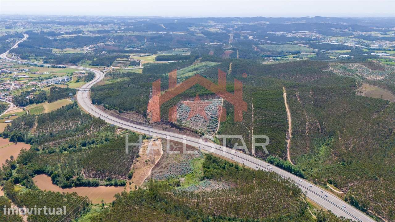 Terreno Florestal / Eucaliptal / 4 Hectares / Trofa - Grande imagem: 2/22