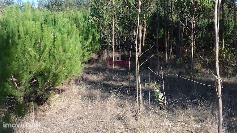 Terreno com 5440 m2, Lourinhã - Grande imagem: 3/3