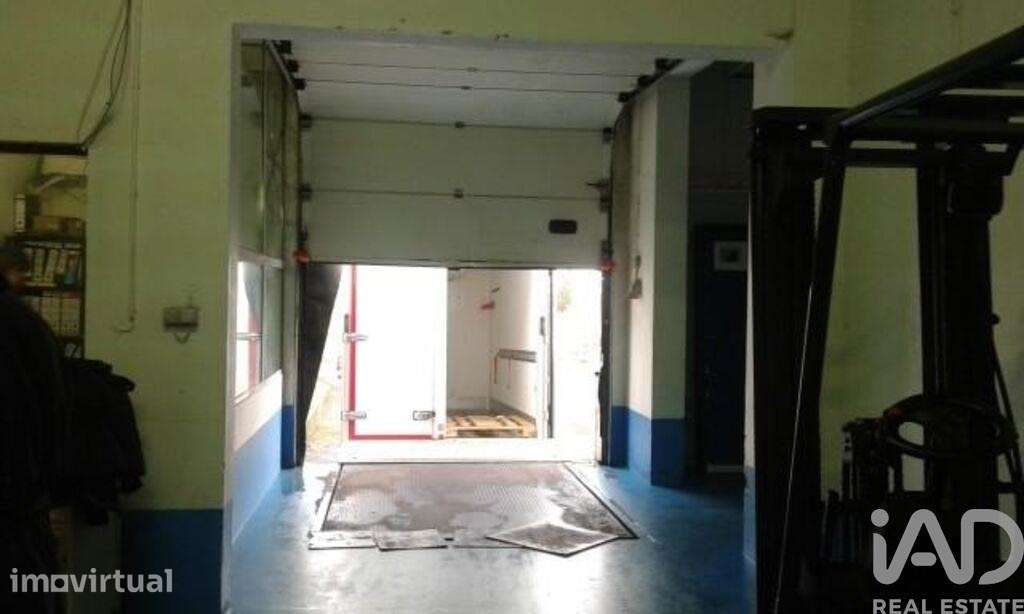 Hangar em Praia da Vitória (Santa Cruz) de 2202,00 m2