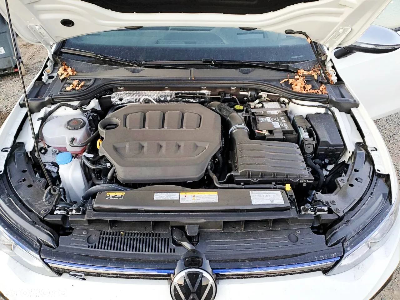 Volkswagen Golf 2.0 TSI OPF 4Motion DSG R - 11