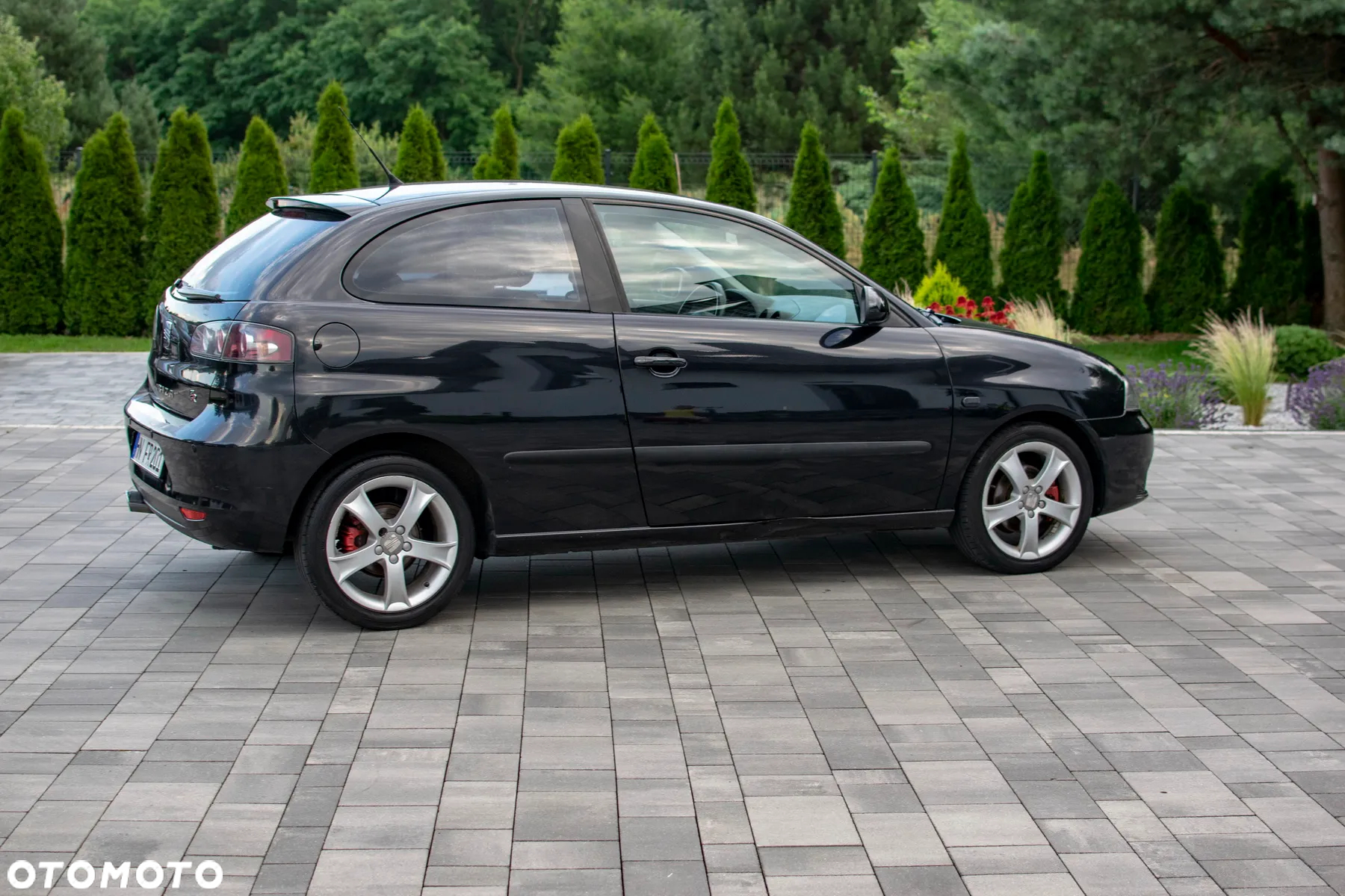Seat Ibiza - 21