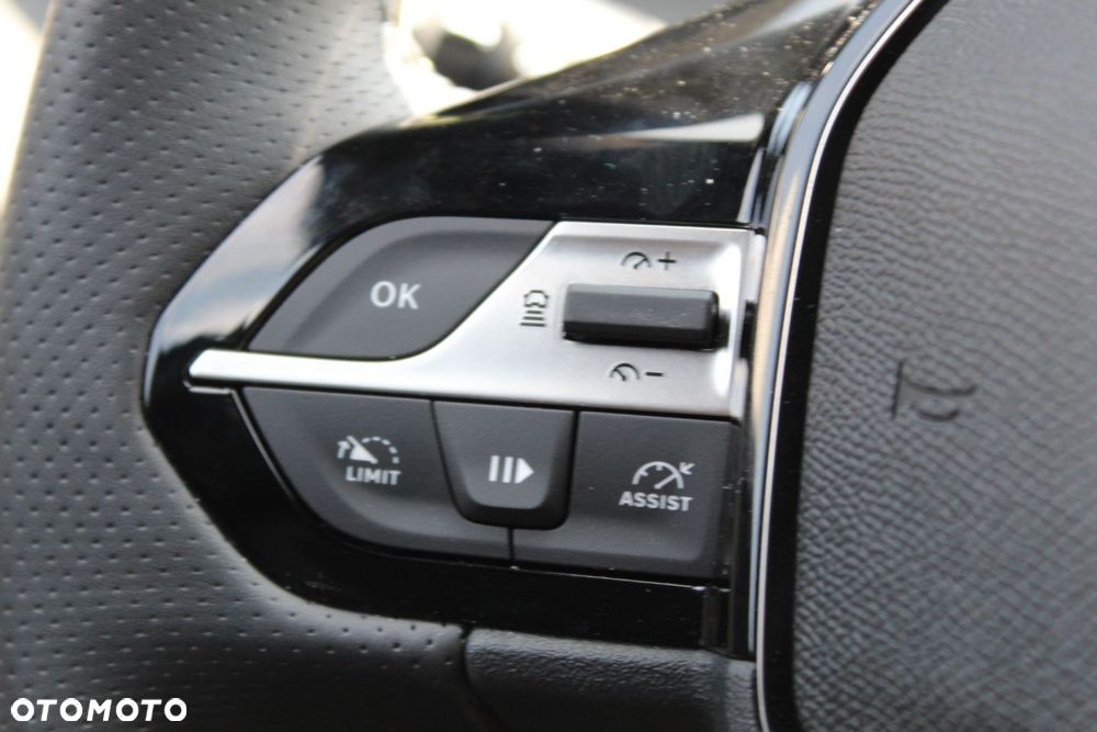 Peugeot 308 - 19