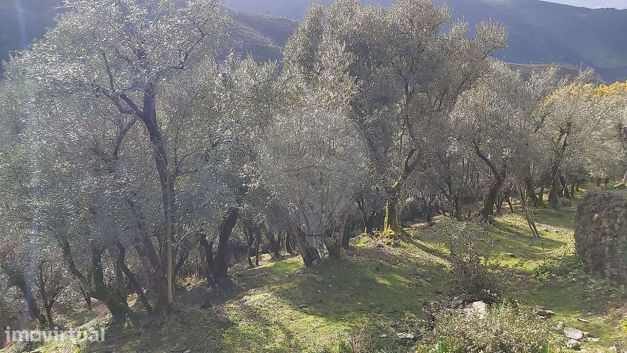 Terreno  para venda - Grande imagem: 3/15