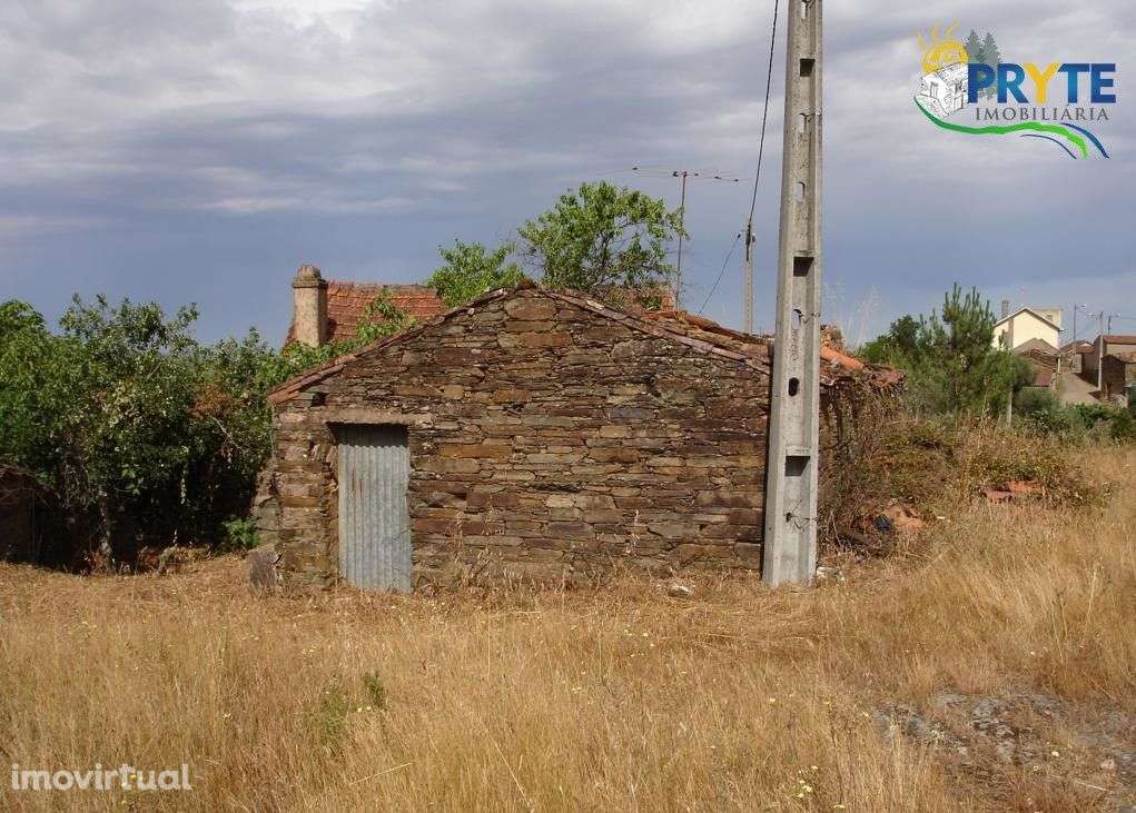 Imóvel rústico situado perto de Proença-a-Nova - Grande imagem: 4/19