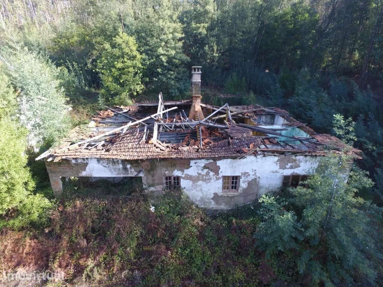 Quinta Palmaz Oliveira de Azeméis - Grande imagem: 2/24