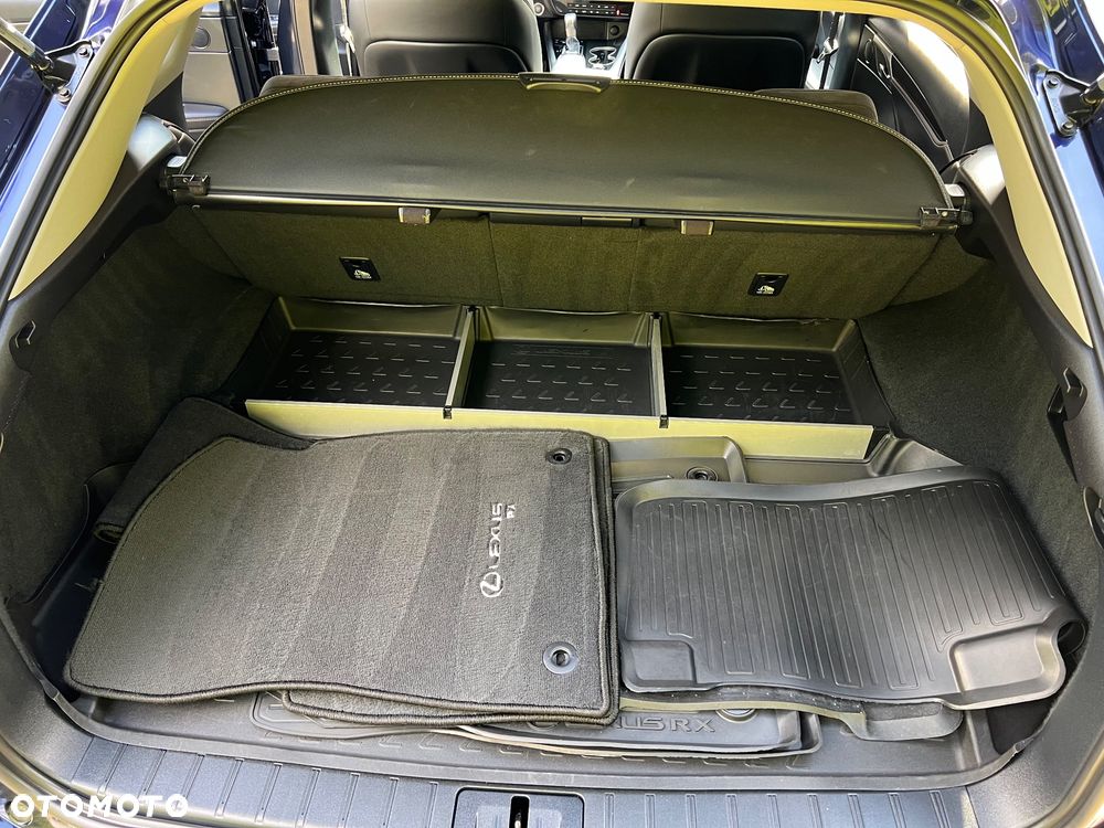 Lexus RX 200t / 300 GPF Elite - 10