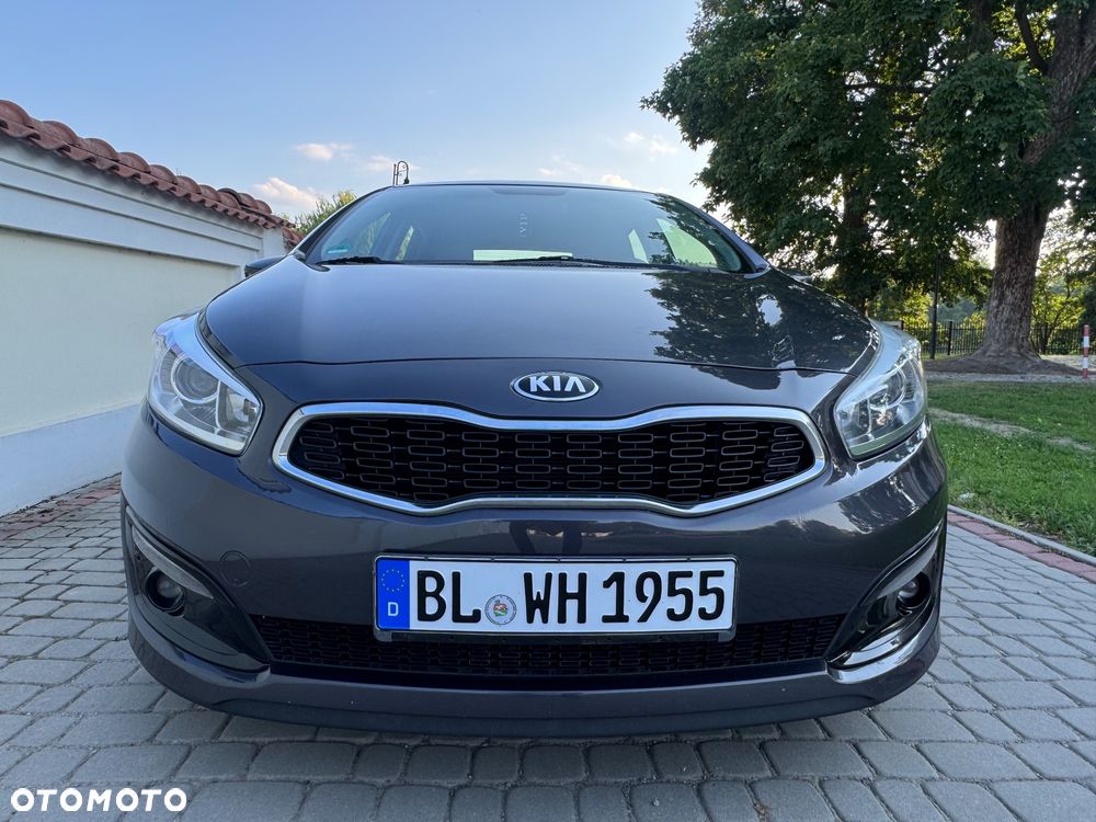 Kia Ceed - 40