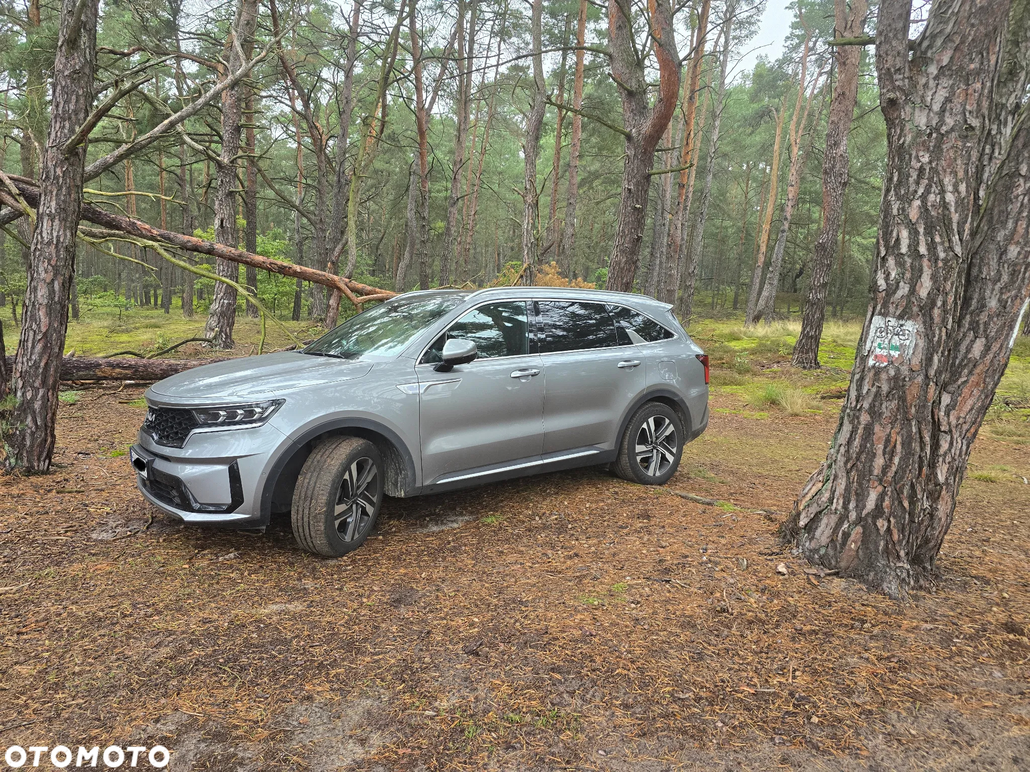 Kia Sorento 1.6 T-GDI PHEV Prestige Line 4WD 7os - 2