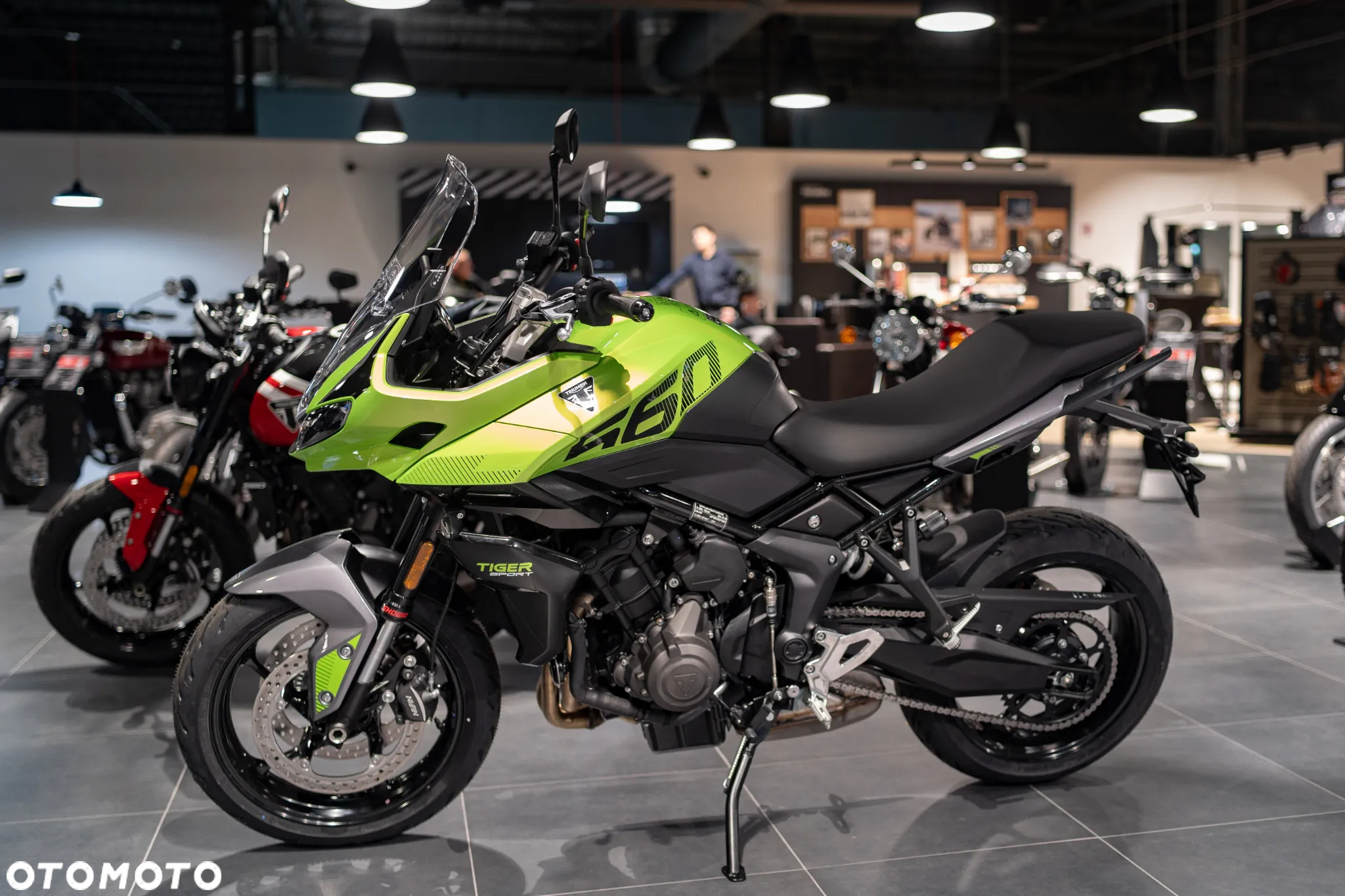 Triumph Tiger - 3
