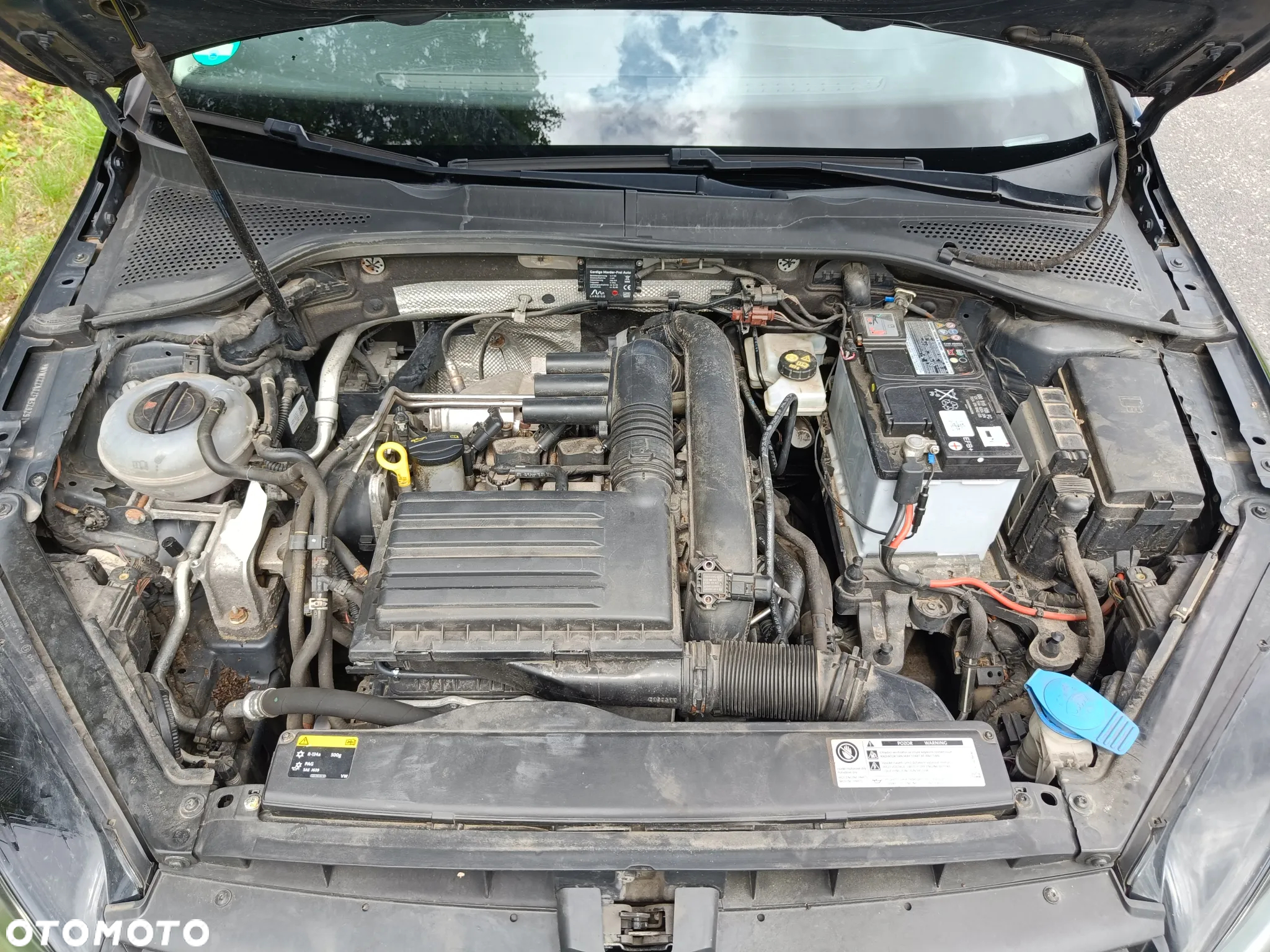 Volkswagen Golf - 39