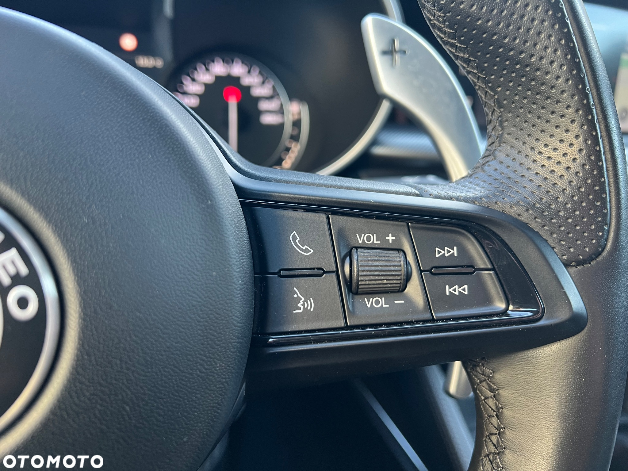 Alfa Romeo Stelvio 2.0 Turbo Veloce Q4 - 26