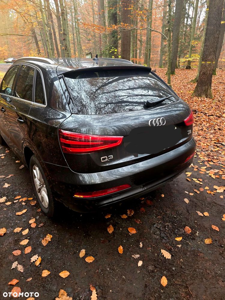 Audi Q3 2.0 TDI Quattro Edycja Specjalna - 8