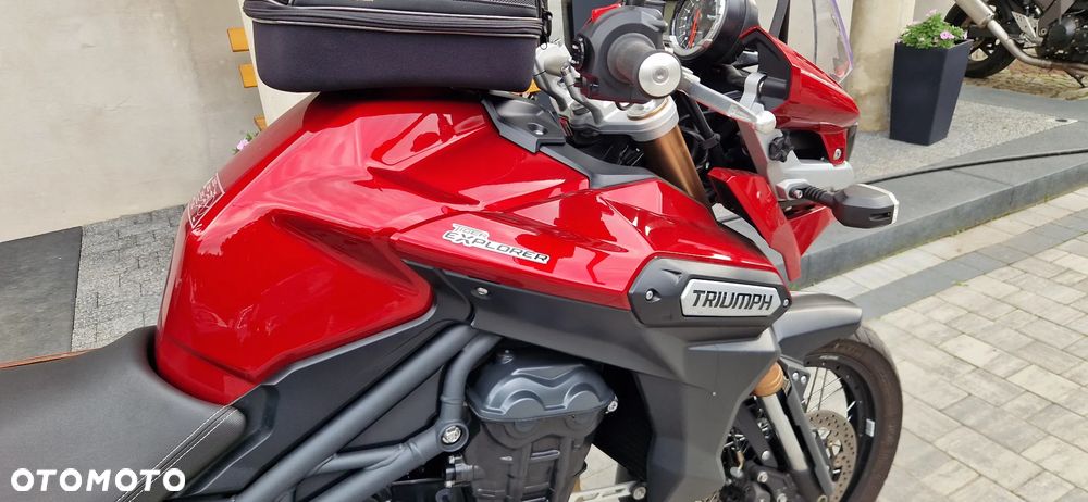 Triumph Tiger - 38
