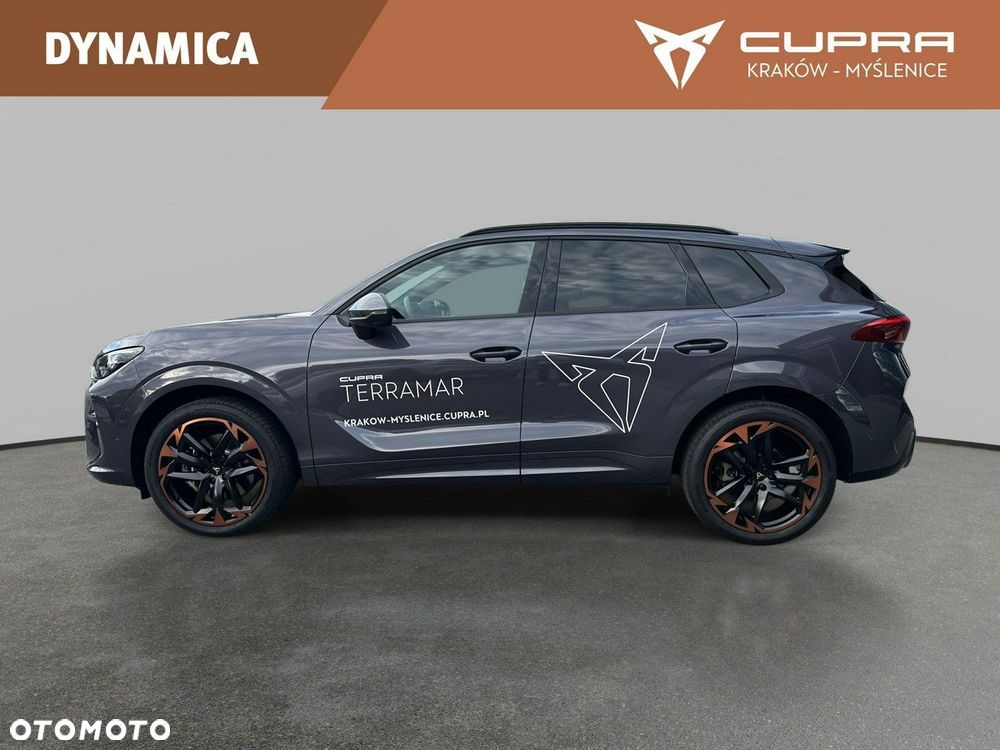 Cupra Terramar - 9