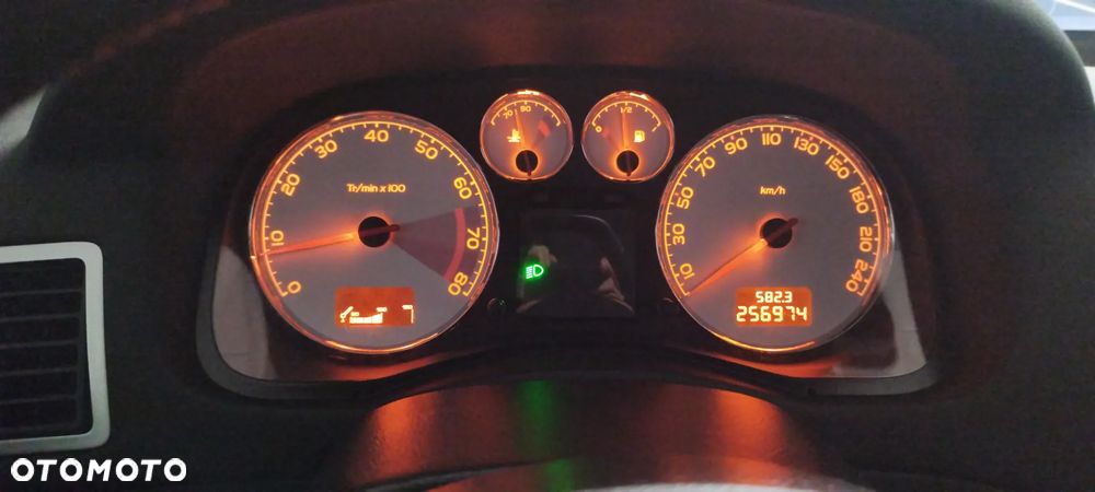 Peugeot 307 1.6 Trendy - 19