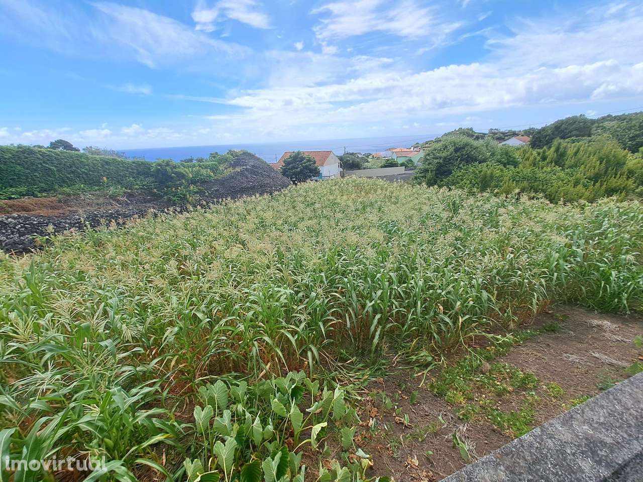 Terreno, 1 936 m², São Mateus - Grande imagem: 4/8