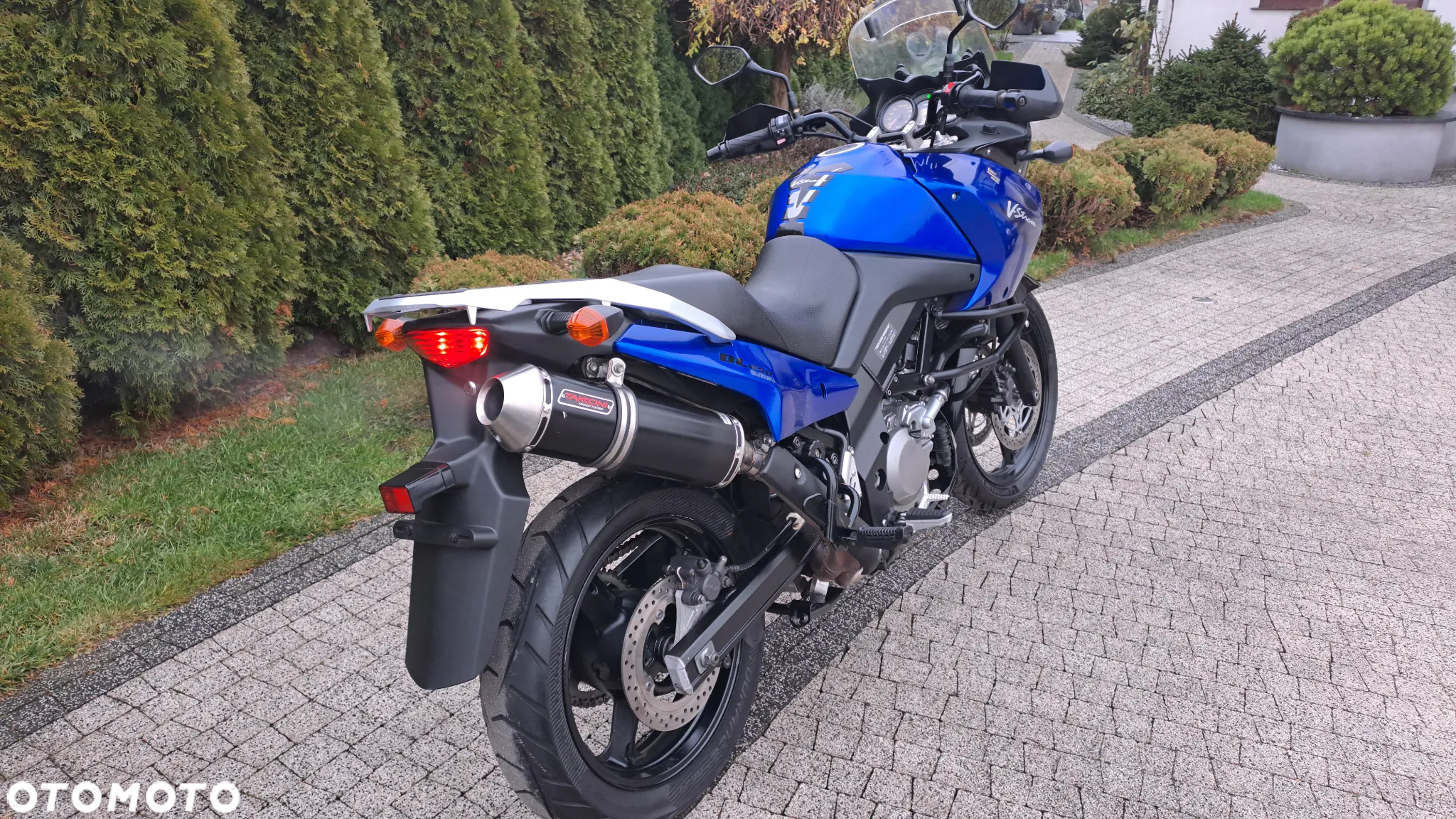 Suzuki DL - 19