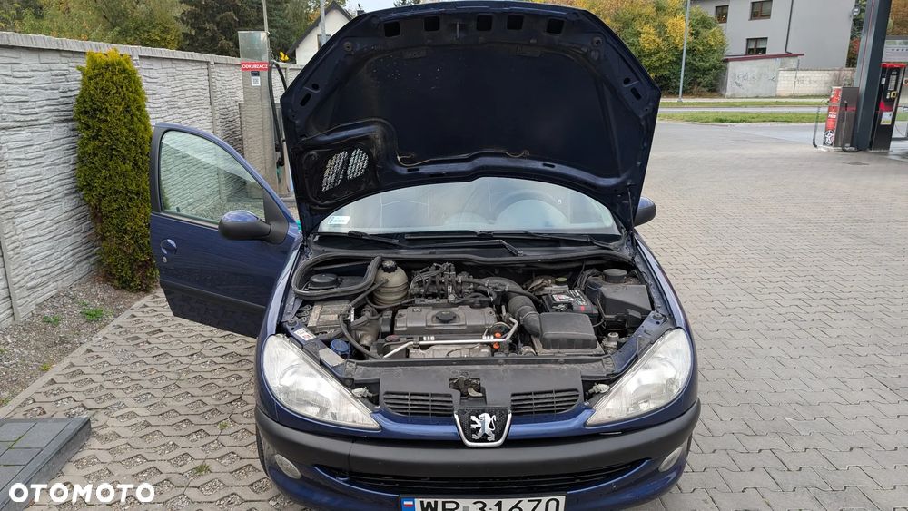 Peugeot 206 - 20