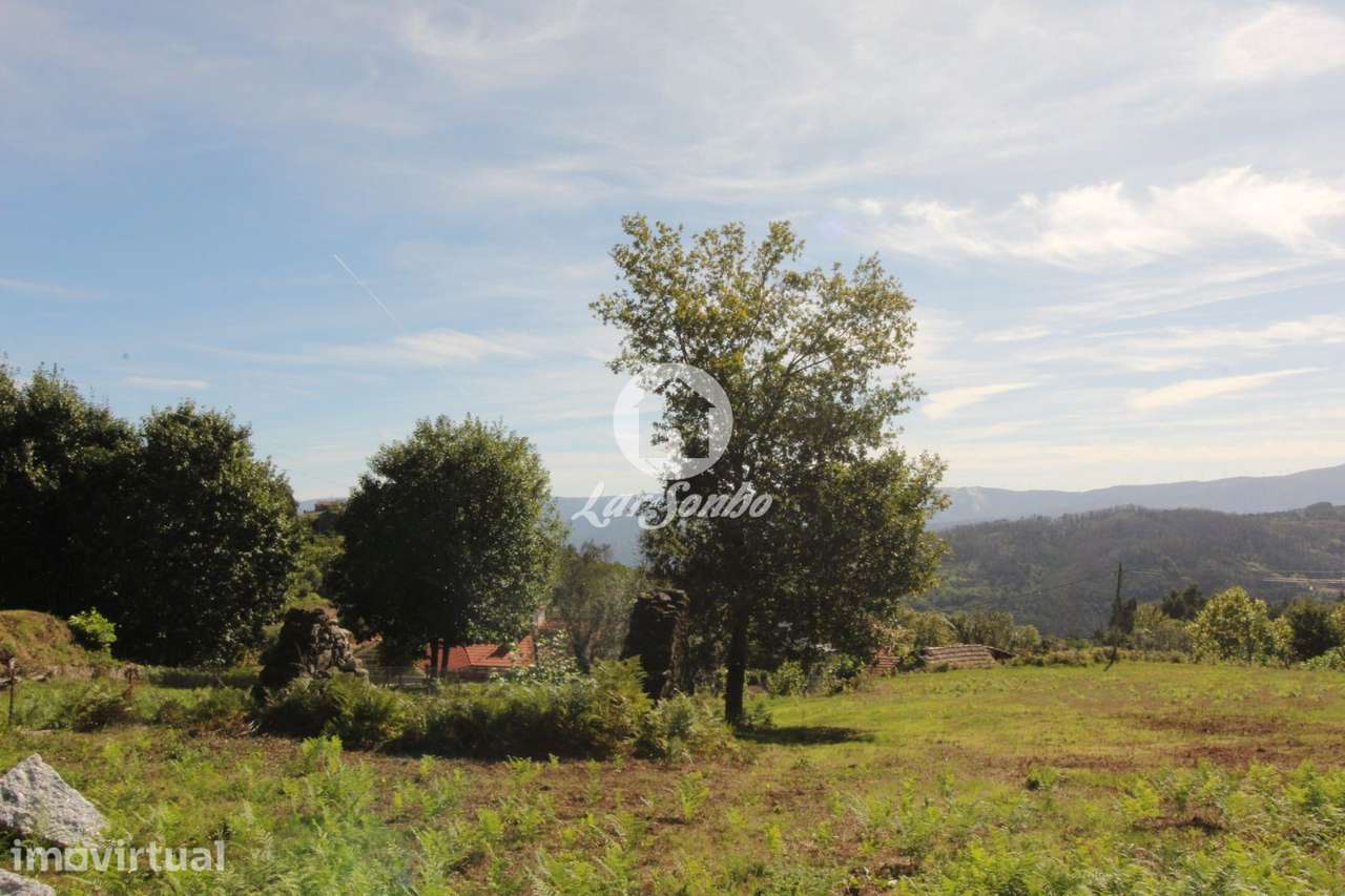 Terreno de construção com projeto aprovado Carvalho Celorico de Basto - Grande imagem: 2/17