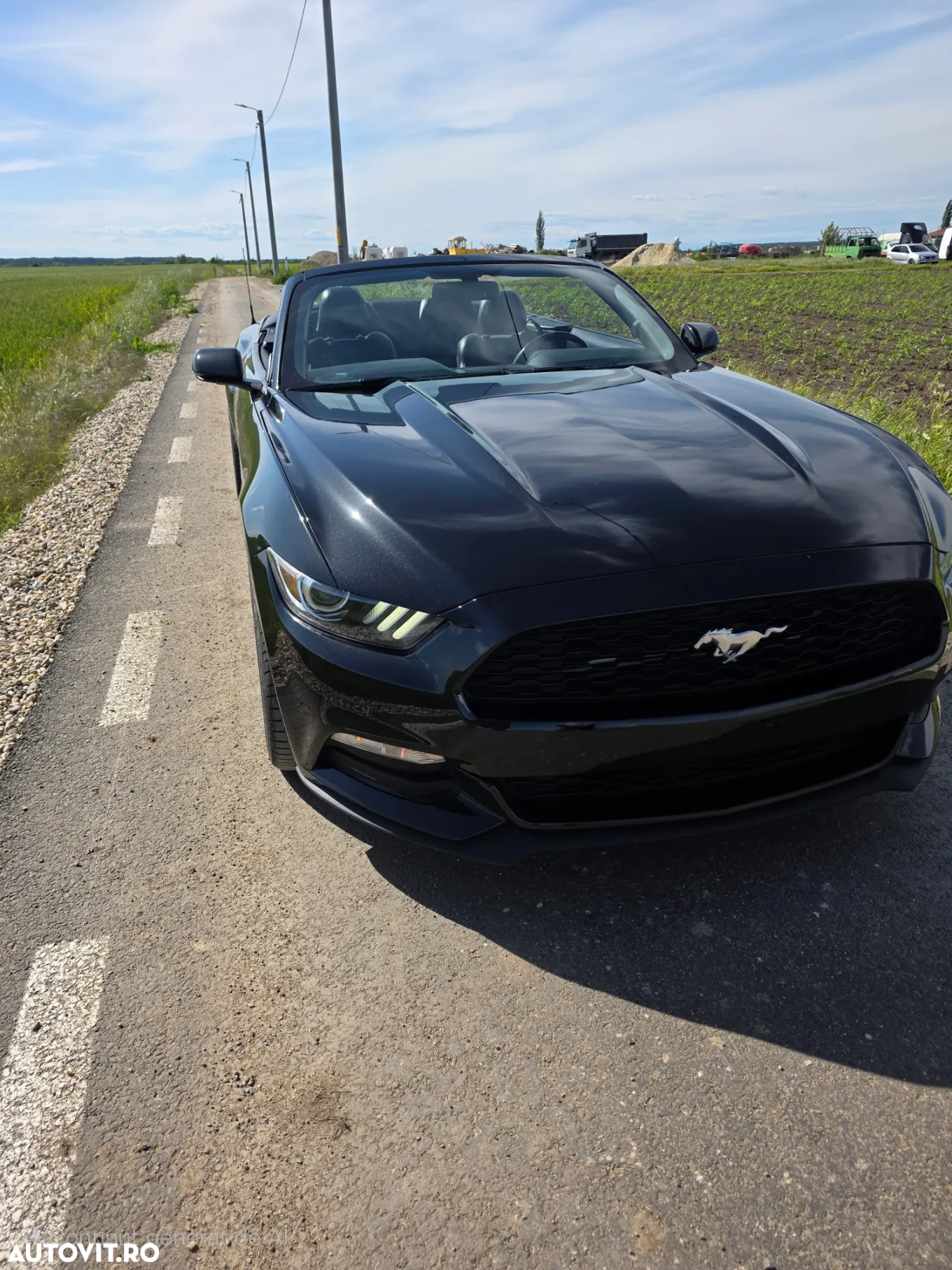 Ford Mustang Cabrio 2.3 Eco Boost - 8