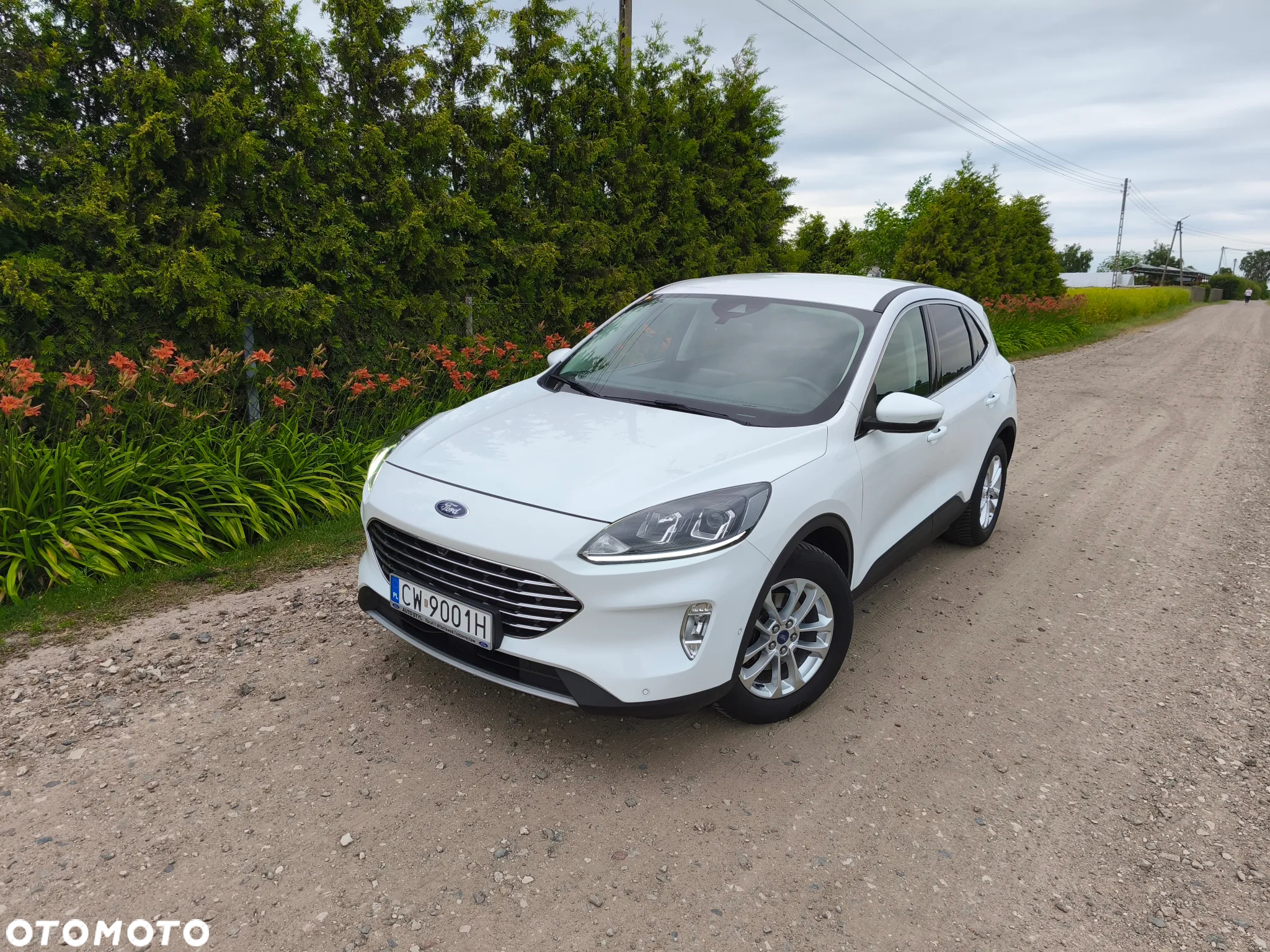 Ford Kuga - 4