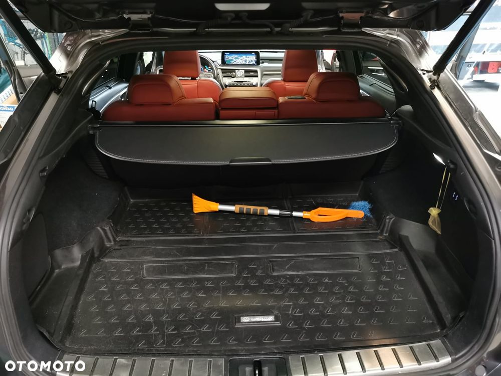 Lexus RX 300 F Sport Edition - 9