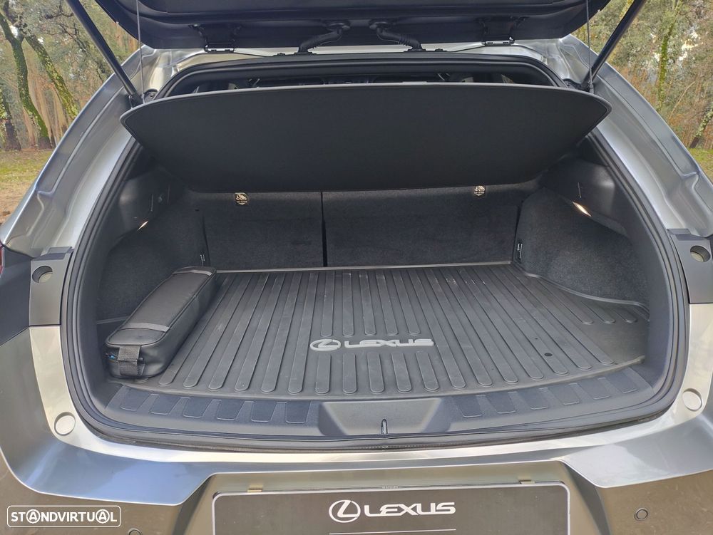 Lexus UX 250h Sport - 15