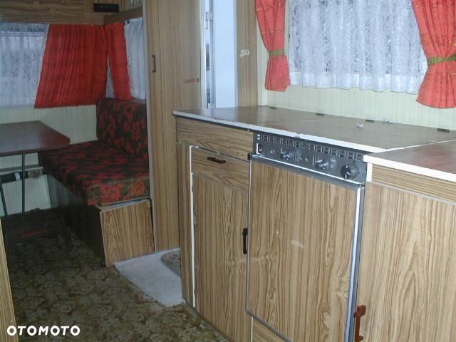 Wilk CI SAFARI 531 - 9