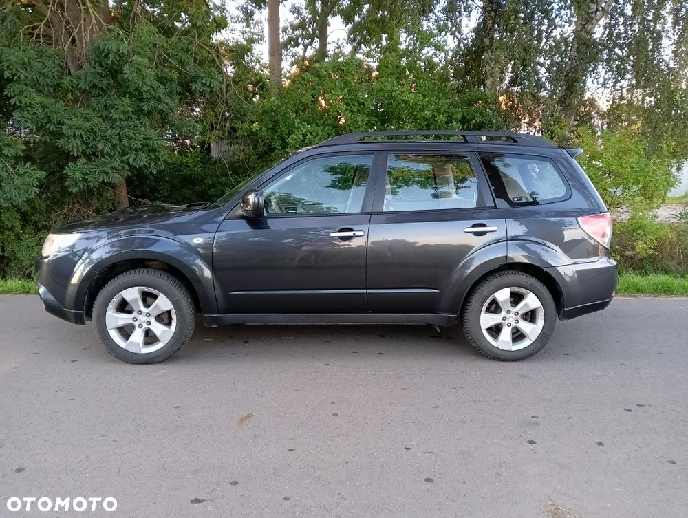 Subaru Forester - 3