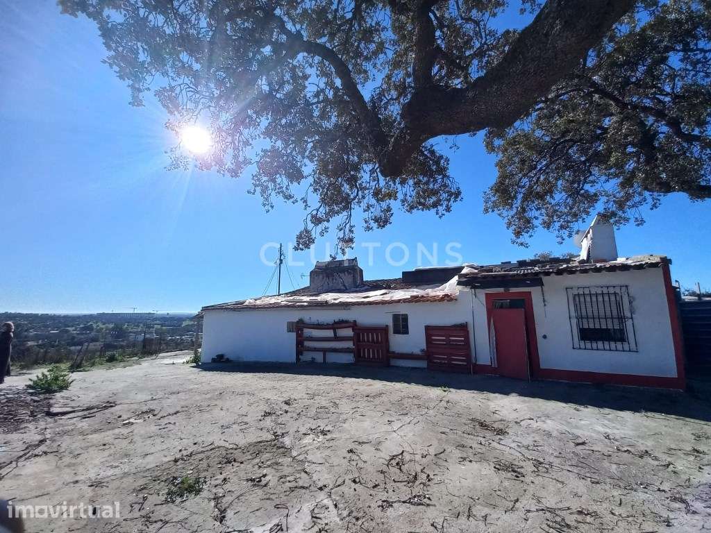 Terreno - Quinta, Investimento, 12 hectares e 844 m2 edificados, Évora