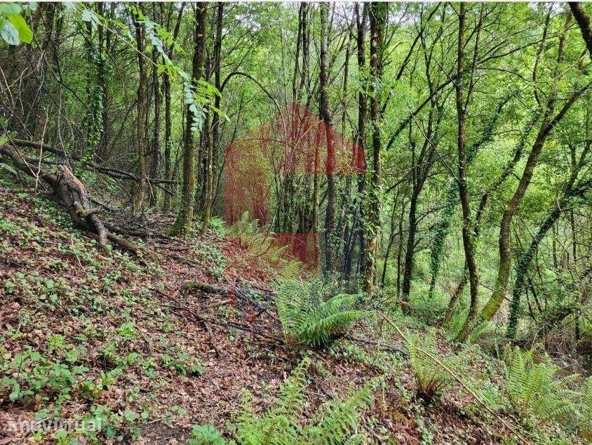 Terreno agrícola, Valdreu - Grande imagem: 3/12