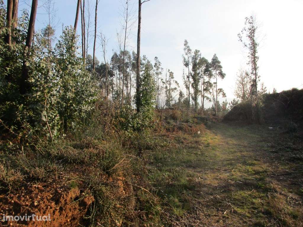 Terreno c/ possibilidade p/ loteamento em Lanheses - Grande imagem: 5/5