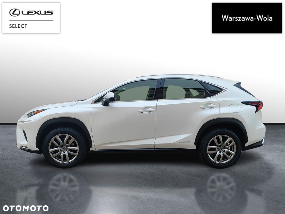 Lexus NX 300h Business Edition AWD - 4