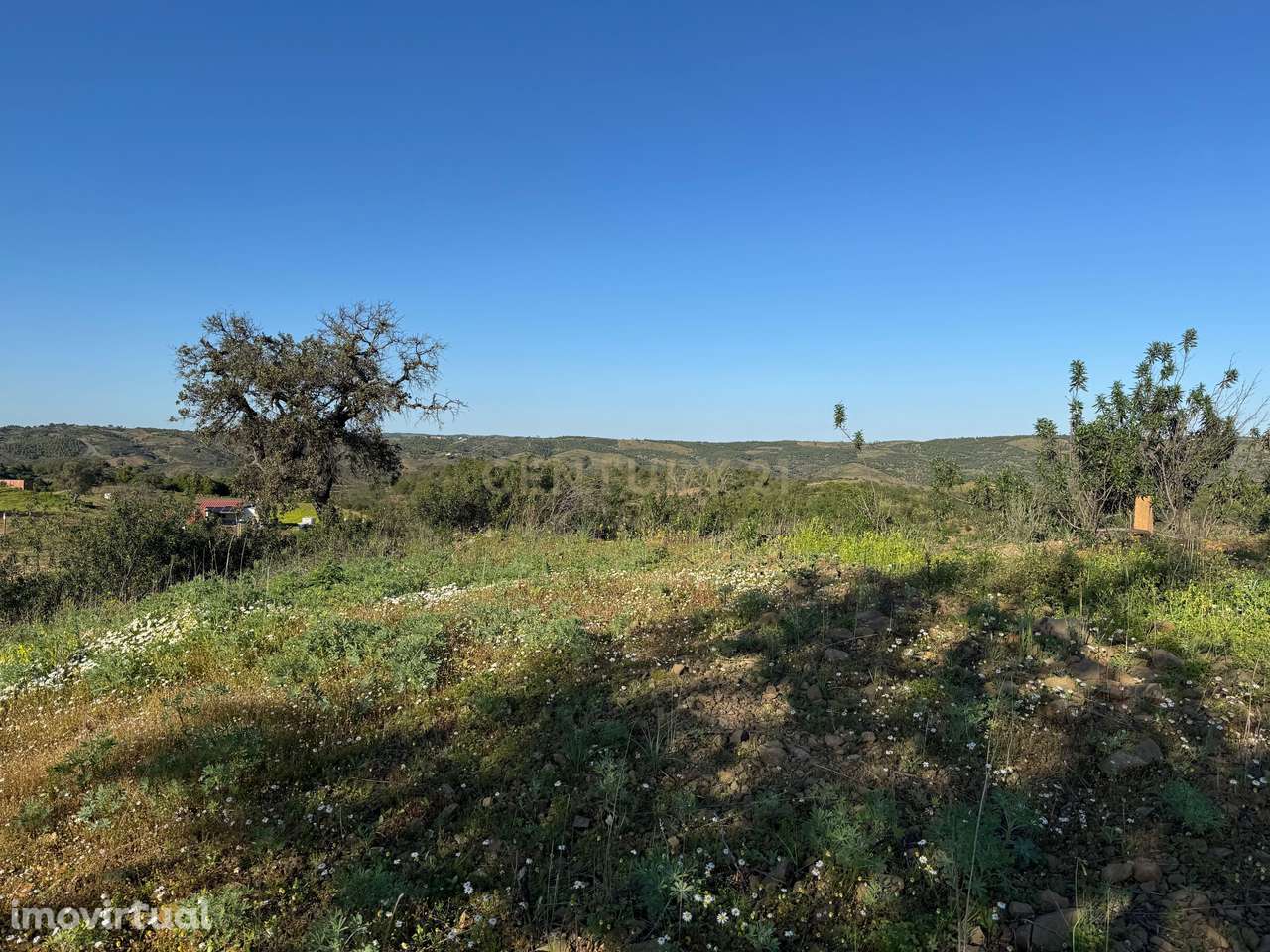 Terreno Rústico | Castro Marim - Grande imagem: 2/7