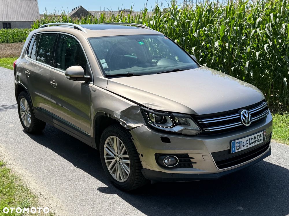 Volkswagen Tiguan - 12