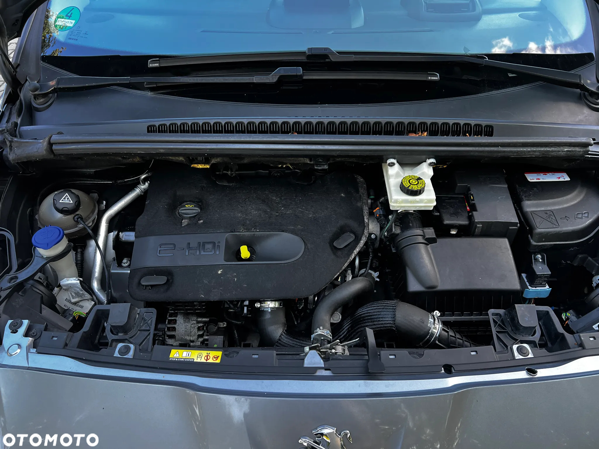 Peugeot 5008 - 33