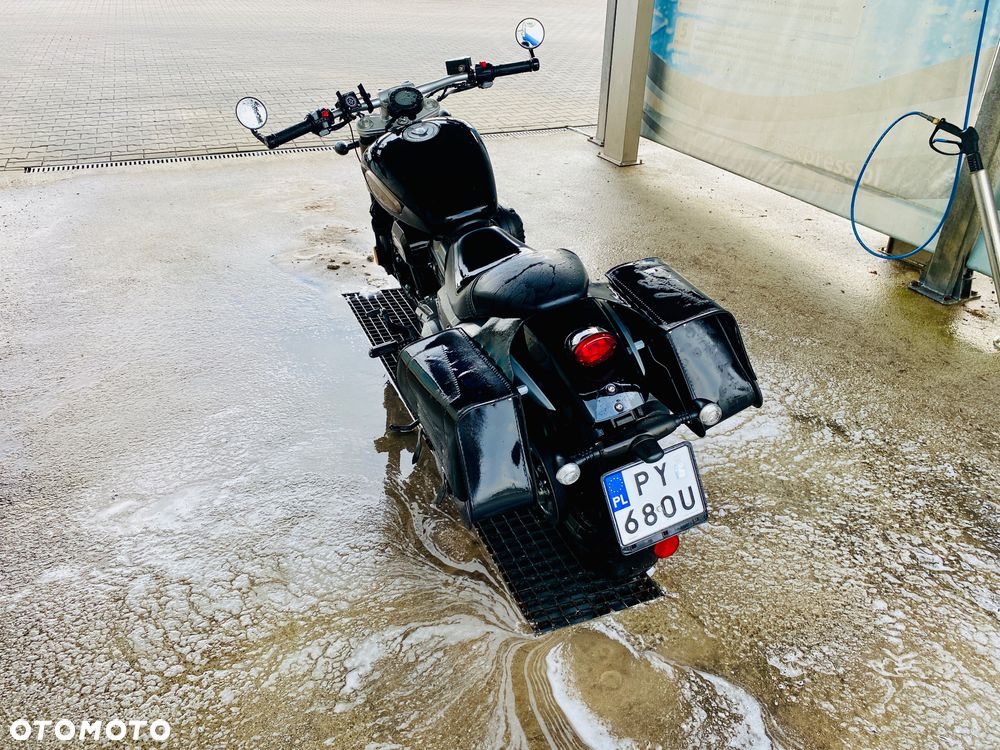 Benda Chinchilla 125 - 9