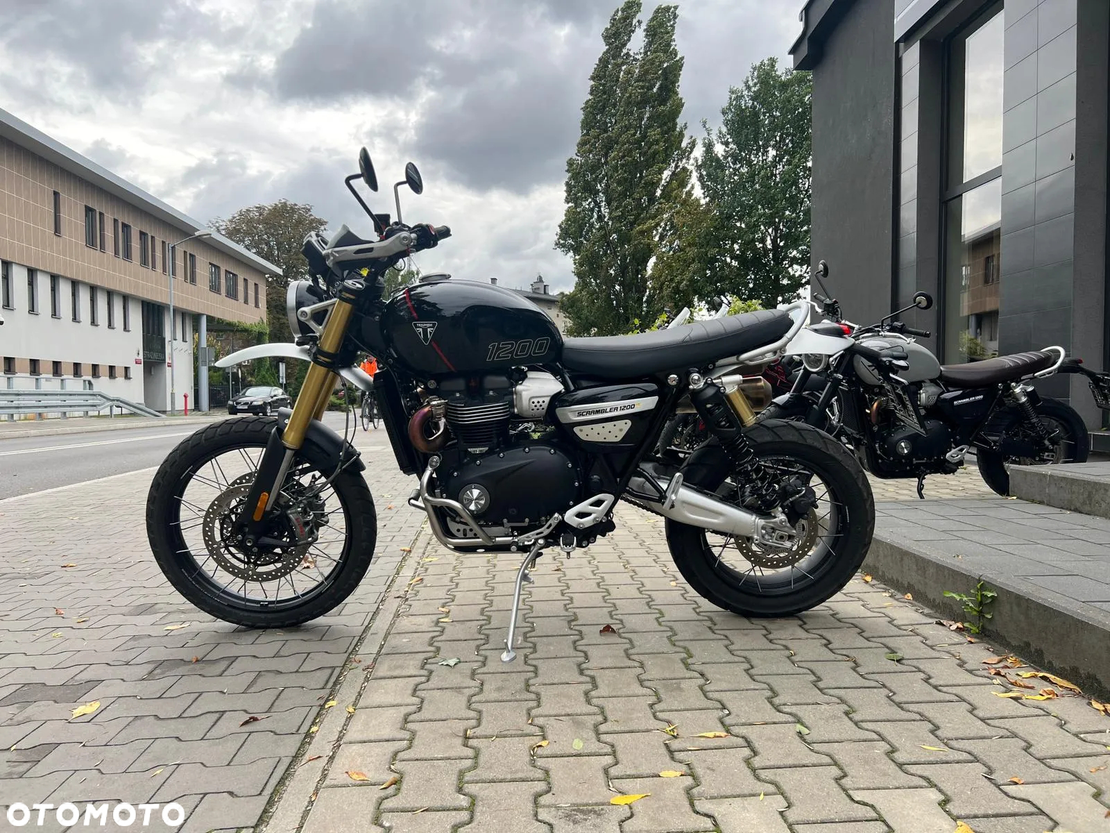 Triumph Scrambler