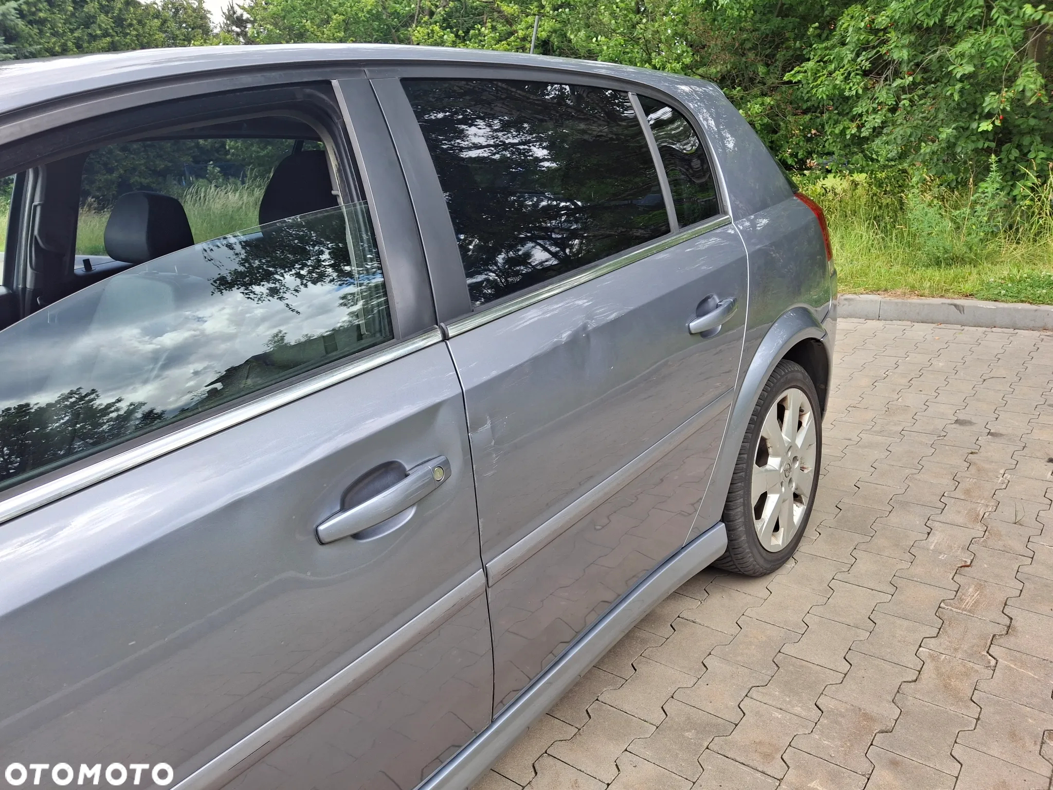 Opel Signum - 11