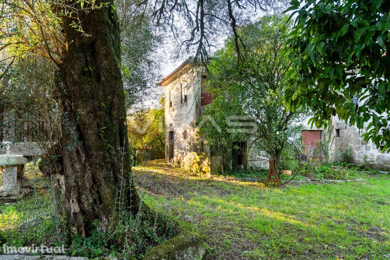 Quinta  Venda em Bouro (Santa Marta),Amares - Grande imagem: 3/33