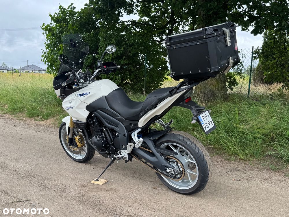 Triumph Tiger - 21