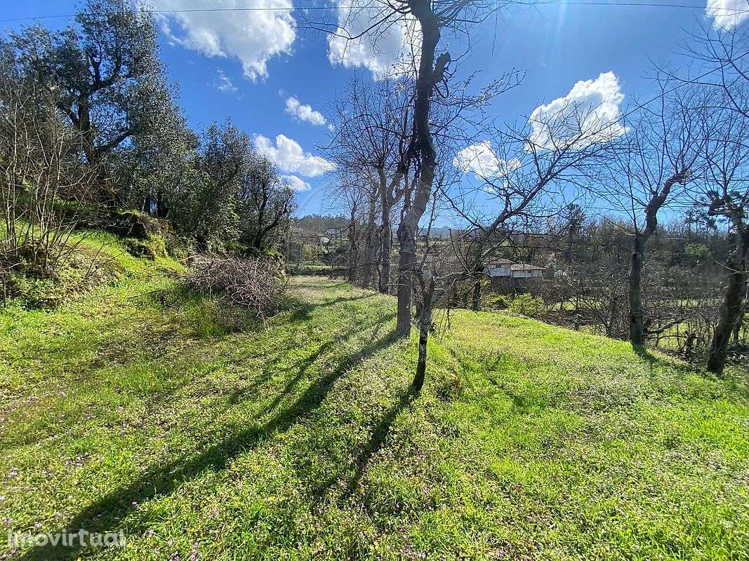 Quinta  para venda - Grande imagem: 5/17