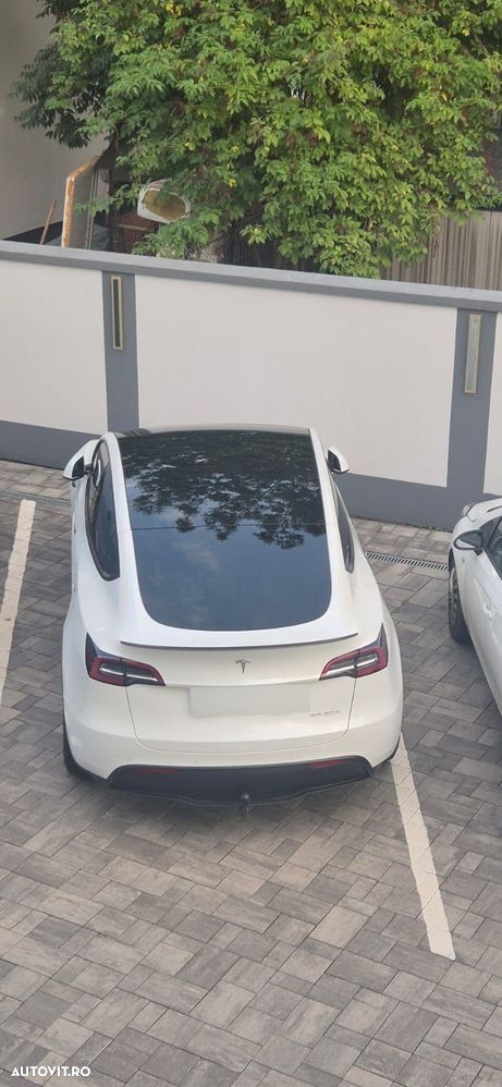 Tesla Model Y Performance - 2