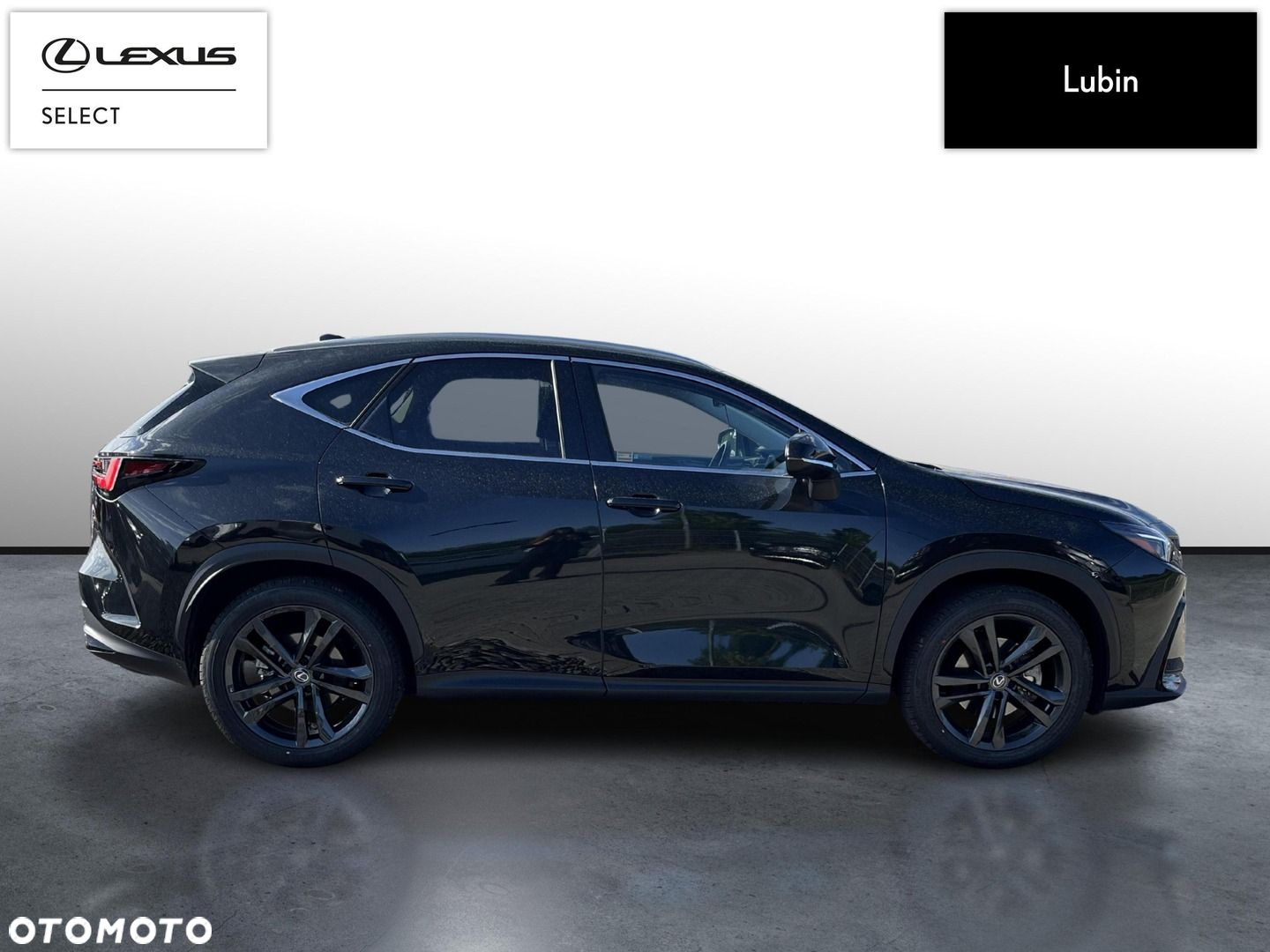 Lexus NX - 6