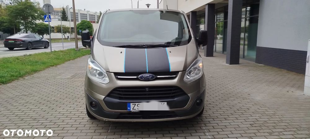 Ford Custom - 2