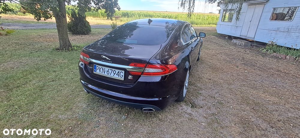 Jaguar XF 2.2 D Premium Luxury - 13