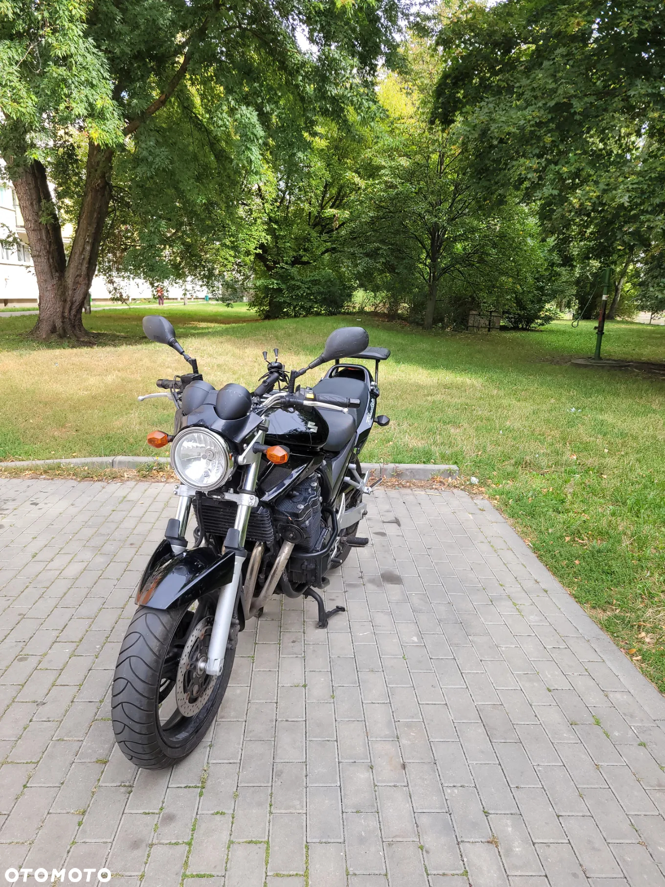 Suzuki Bandit - 13